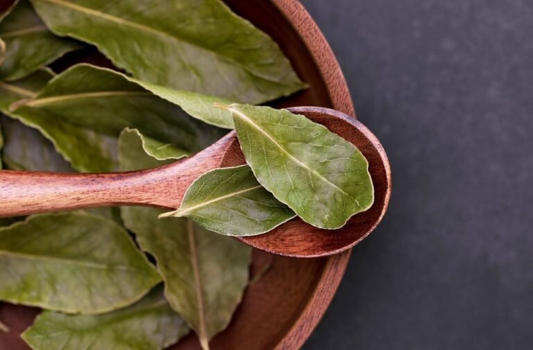 bay leaf money ritual