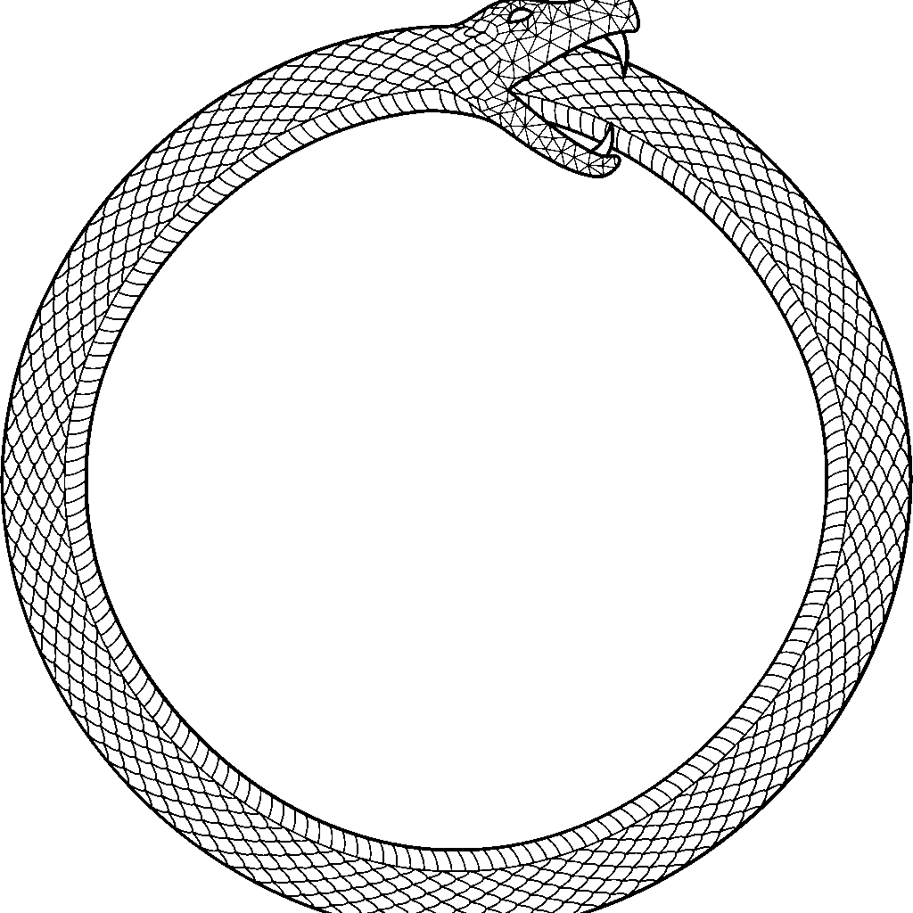 The Ouroboros
