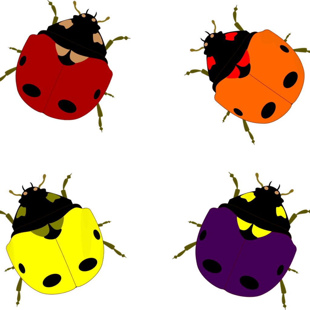 Ladybug Spiritual Meaning Explained