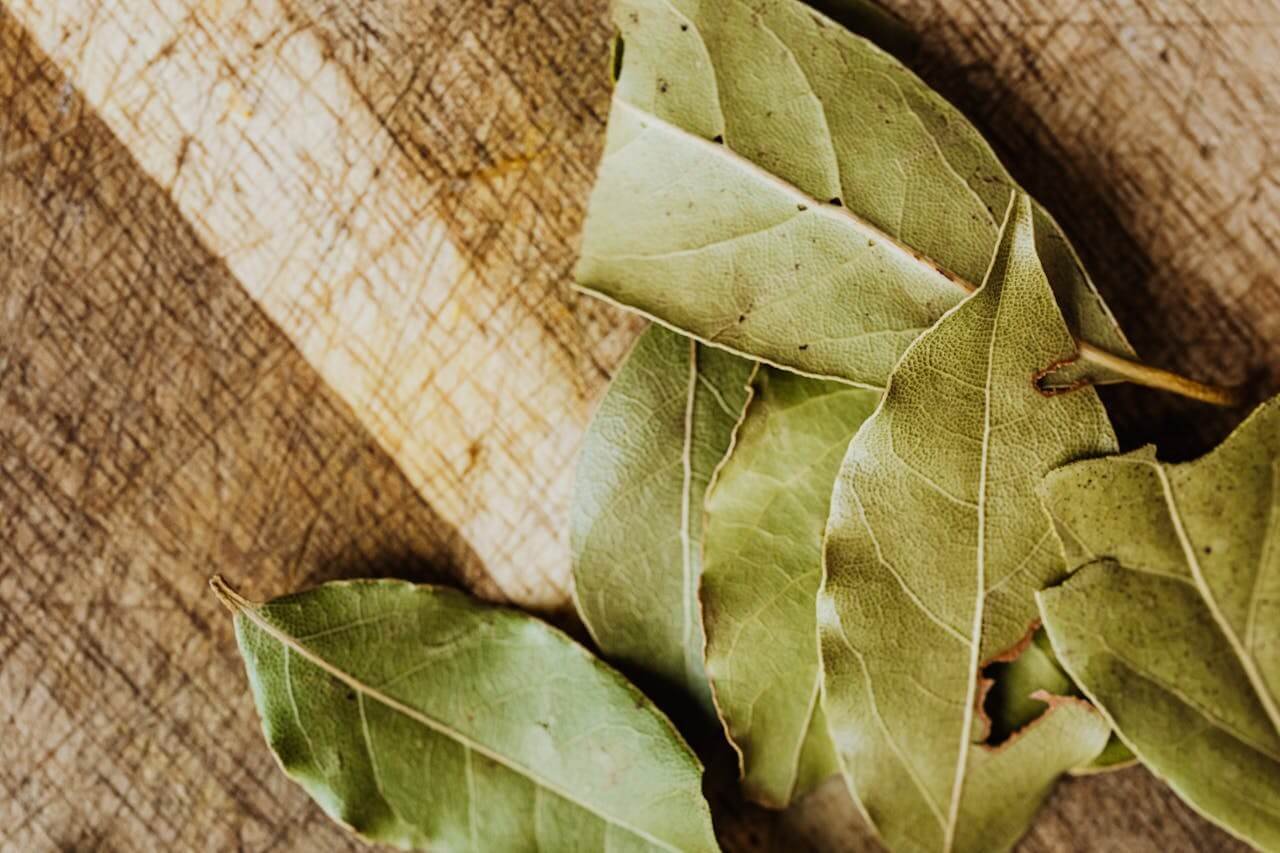 bay leaf money spell